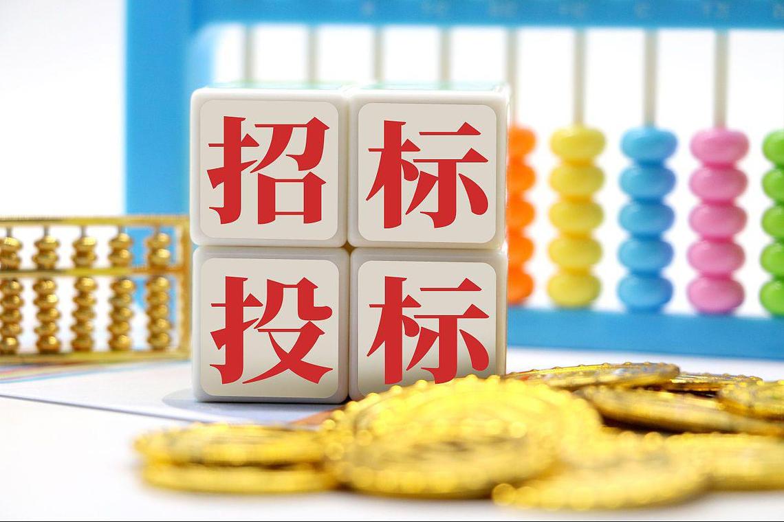 发布了一项招标公告,旨在寻找灯光舞台舞美租赁